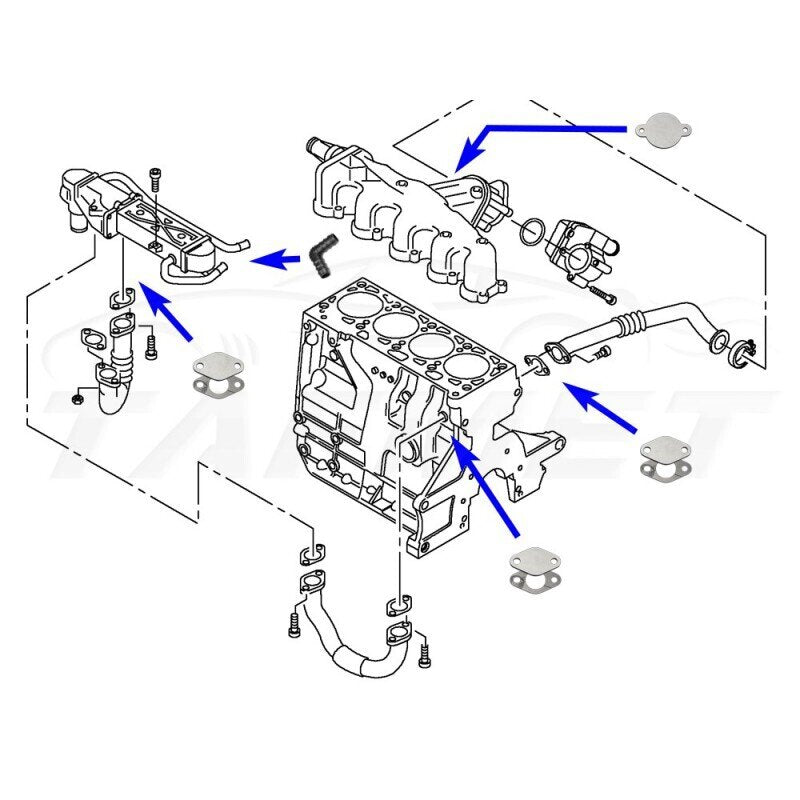 4mm тапи за EGR за VAG 1.2 1.6 2.0 TDI CR