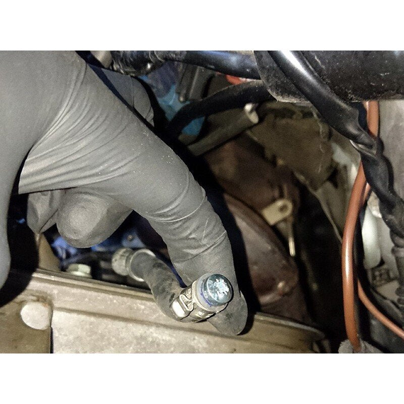 Описание на изображението